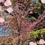 ヒメ日記 2025/02/25 10:09 投稿 姫路ゆず 一夜妻