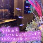 ヒメ日記 2025/02/25 15:19 投稿 姫路ゆず 一夜妻