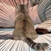 ヒメ日記 2025/03/05 10:59 投稿 姫路ゆず 一夜妻