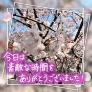 ヒメ日記 2025/04/07 15:29 投稿 姫路ゆず 一夜妻