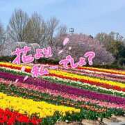 ヒメ日記 2025/04/11 10:09 投稿 姫路ゆず 一夜妻