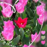 ヒメ日記 2025/04/15 13:09 投稿 姫路ゆず 一夜妻