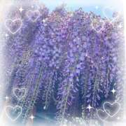 ヒメ日記 2025/04/17 12:09 投稿 姫路ゆず 一夜妻