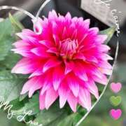 ヒメ日記 2025/04/25 10:09 投稿 姫路ゆず 一夜妻