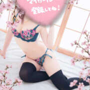 ヒメ日記 2025/04/26 17:09 投稿 姫路ゆず 一夜妻