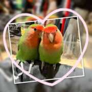 ヒメ日記 2025/05/02 10:10 投稿 姫路ゆず 一夜妻