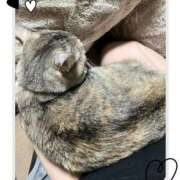 ヒメ日記 2025/05/04 09:09 投稿 姫路ゆず 一夜妻