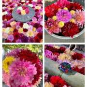 ヒメ日記 2025/05/04 11:09 投稿 姫路ゆず 一夜妻