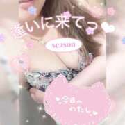 ヒメ日記 2025/05/11 13:49 投稿 姫路ゆず 一夜妻