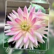 ヒメ日記 2025/05/13 11:29 投稿 姫路ゆず 一夜妻