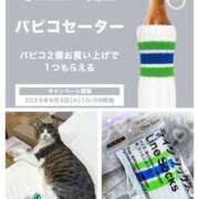 ヒメ日記 2025/06/08 11:39 投稿 姫路ゆず 一夜妻