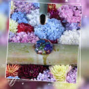 ヒメ日記 2025/06/09 11:39 投稿 姫路ゆず 一夜妻