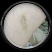 ヒメ日記 2025/06/10 11:09 投稿 姫路ゆず 一夜妻