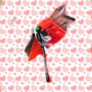 ヒメ日記 2025/06/26 13:39 投稿 姫路ゆず 一夜妻