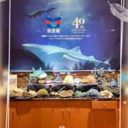 ヒメ日記 2025/07/18 17:09 投稿 姫路ゆず 一夜妻