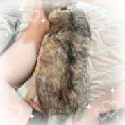 ヒメ日記 2025/07/23 13:09 投稿 姫路ゆず 一夜妻