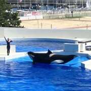 ヒメ日記 2025/07/30 13:09 投稿 姫路ゆず 一夜妻