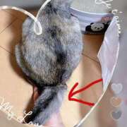 ヒメ日記 2025/08/11 09:09 投稿 姫路ゆず 一夜妻