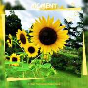 ヒメ日記 2025/08/18 13:09 投稿 姫路ゆず 一夜妻