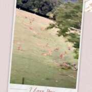 ヒメ日記 2025/09/05 08:09 投稿 姫路ゆず 一夜妻