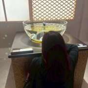 ヒメ日記 2025/09/15 18:09 投稿 姫路ゆず 一夜妻