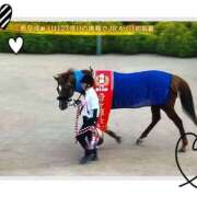 ヒメ日記 2025/09/28 21:09 投稿 姫路ゆず 一夜妻