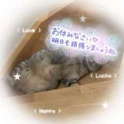 ヒメ日記 2025/10/09 21:19 投稿 姫路ゆず 一夜妻