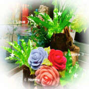 ヒメ日記 2025/10/24 08:09 投稿 姫路ゆず 一夜妻