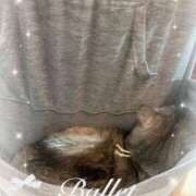 ヒメ日記 2025/10/29 21:09 投稿 姫路ゆず 一夜妻