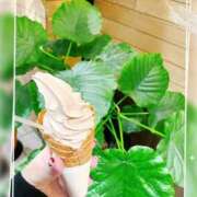 ヒメ日記 2025/11/03 08:09 投稿 姫路ゆず 一夜妻