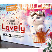 ヒメ日記 2025/11/03 21:10 投稿 姫路ゆず 一夜妻