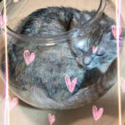 ヒメ日記 2025/11/04 13:09 投稿 姫路ゆず 一夜妻