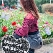 ヒメ日記 2025/11/06 12:10 投稿 姫路ゆず 一夜妻