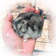 ヒメ日記 2025/11/07 17:49 投稿 姫路ゆず 一夜妻