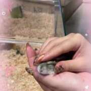 ヒメ日記 2025/11/08 14:09 投稿 姫路ゆず 一夜妻