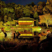 ヒメ日記 2025/11/12 08:09 投稿 姫路ゆず 一夜妻