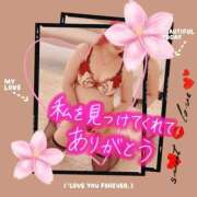 ヒメ日記 2025/11/14 00:19 投稿 姫路ゆず 一夜妻