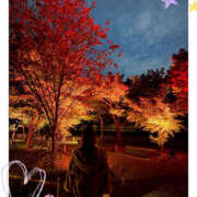 ヒメ日記 2025/11/14 09:39 投稿 姫路ゆず 一夜妻