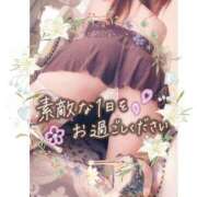 ヒメ日記 2025/11/15 02:09 投稿 姫路ゆず 一夜妻