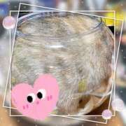 ヒメ日記 2025/11/17 08:09 投稿 姫路ゆず 一夜妻