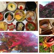 ヒメ日記 2025/11/20 08:09 投稿 姫路ゆず 一夜妻