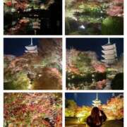 ヒメ日記 2025/11/21 08:09 投稿 姫路ゆず 一夜妻