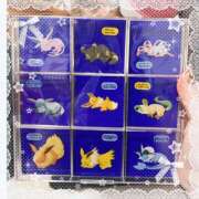 ヒメ日記 2025/11/24 09:09 投稿 姫路ゆず 一夜妻