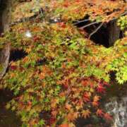 ヒメ日記 2025/11/28 02:59 投稿 姫路ゆず 一夜妻