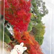 ヒメ日記 2025/12/03 20:39 投稿 姫路ゆず 一夜妻