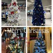 ヒメ日記 2025/12/20 20:39 投稿 姫路ゆず 一夜妻