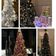 ヒメ日記 2025/12/21 20:49 投稿 姫路ゆず 一夜妻