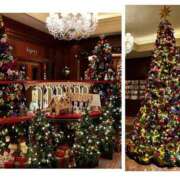 ヒメ日記 2025/12/23 20:09 投稿 姫路ゆず 一夜妻