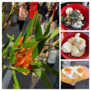 ヒメ日記 2026/01/09 16:49 投稿 姫路ゆず 一夜妻