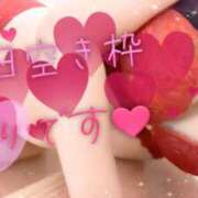 ヒメ日記 2026/02/12 10:09 投稿 姫路ゆず 一夜妻